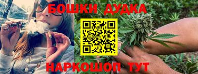 скорость Бийск