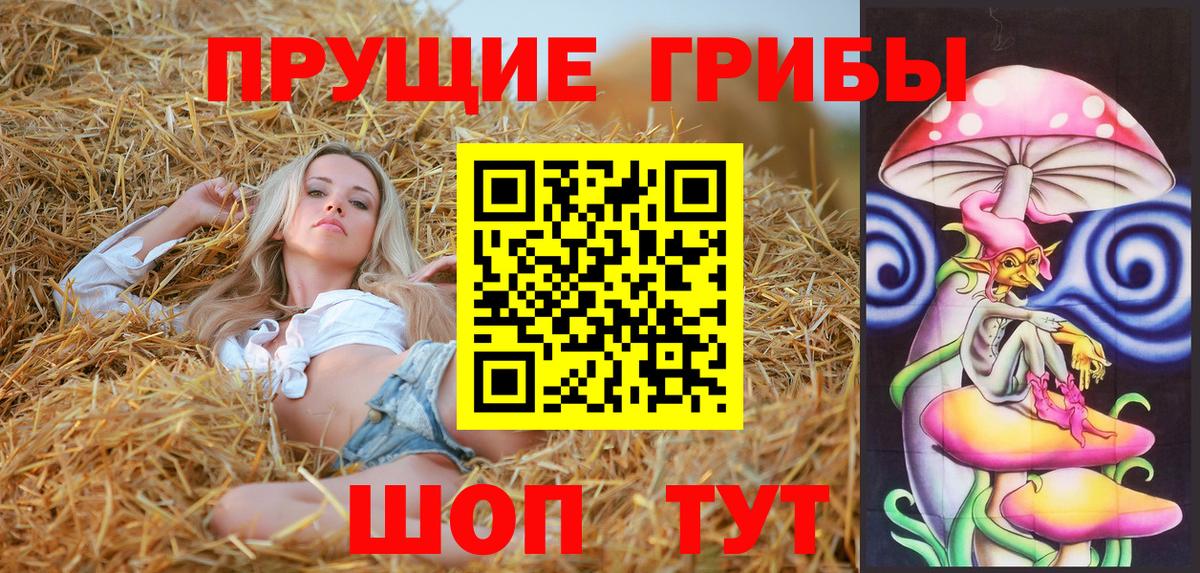 Псилоцибиновые грибы мухоморы Долгопрудный